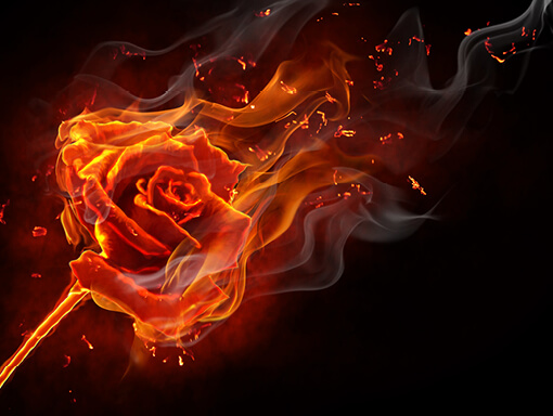 Realm of the Red Flower