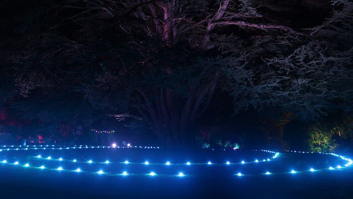 Finding Wonderland Blue Beacons