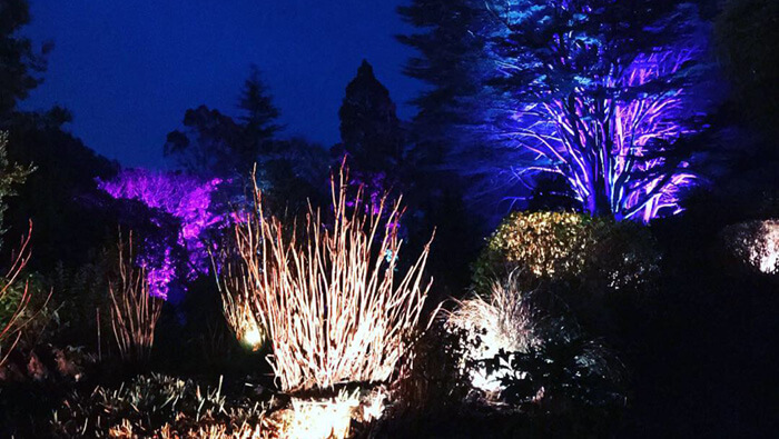 Wonderland Nights Lightscapes