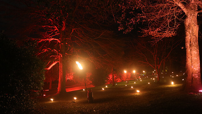 Finding Wonderland Fire Garden