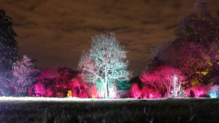 Wonderland Nights Lightscapes